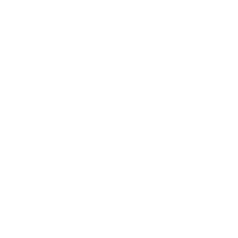 EVO Consulting Logo
