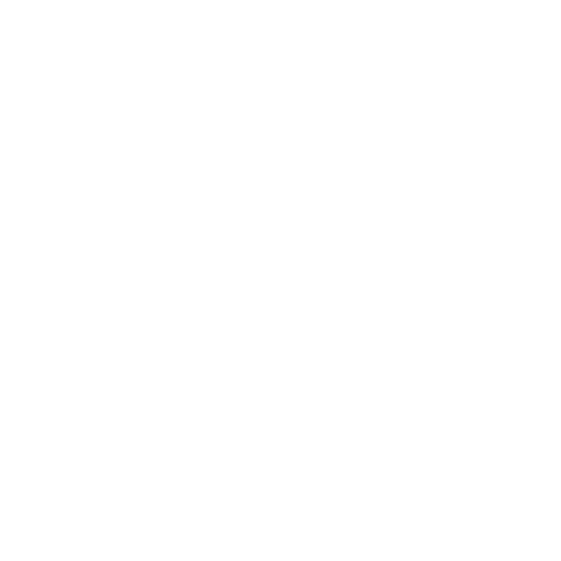 EVO Digital Evolution Logo